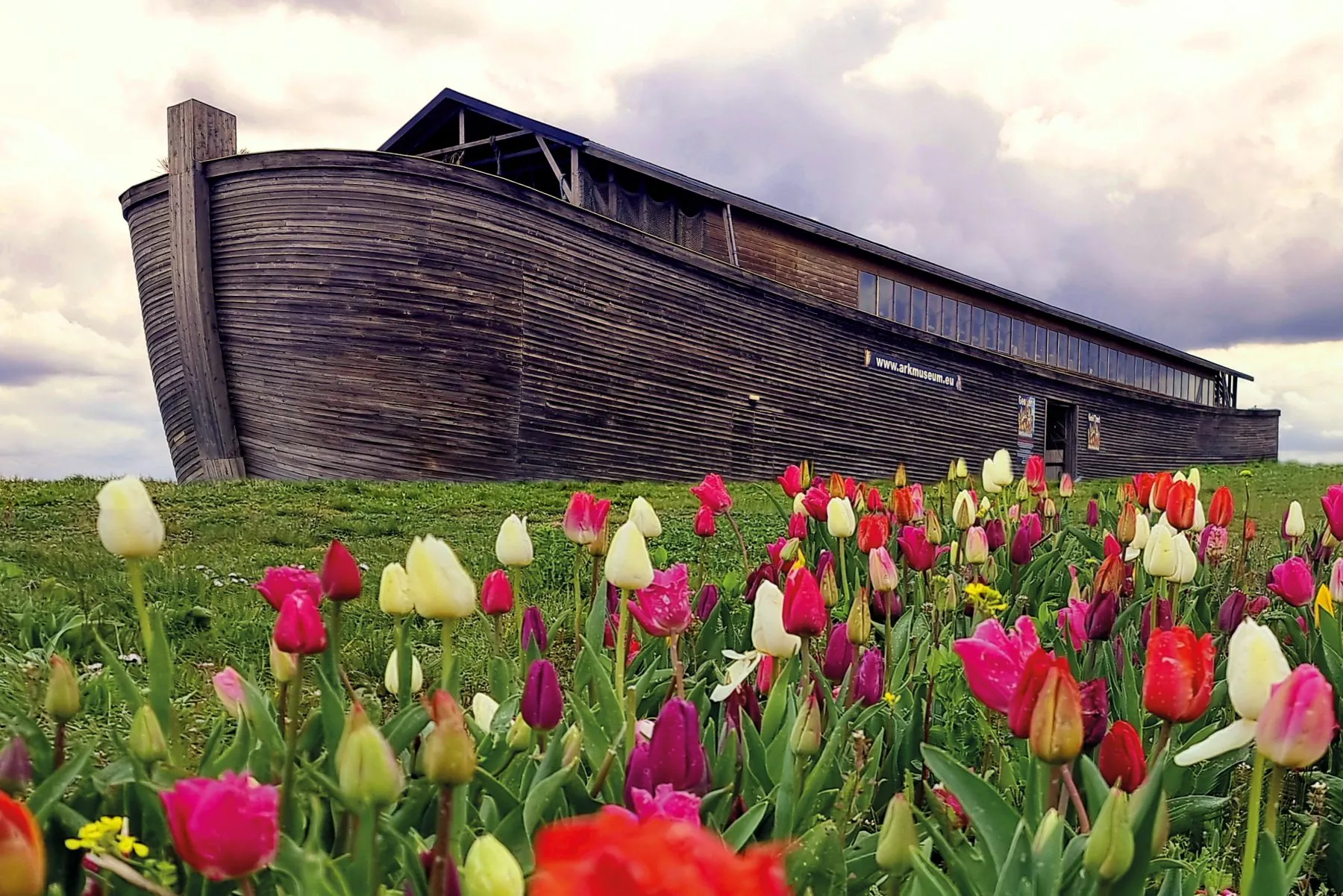 Noah’s Ark achter een veld bloeiende tulpen